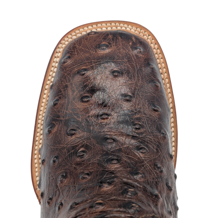 Gavel Big Kid's Ostrich Print Brown Boot