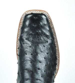 Gavel Men's Antonio Full Quill Ostrich Boots - Black