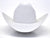 Larry Mahan 6X Real Platinum Fur Felt Cowboy Hat